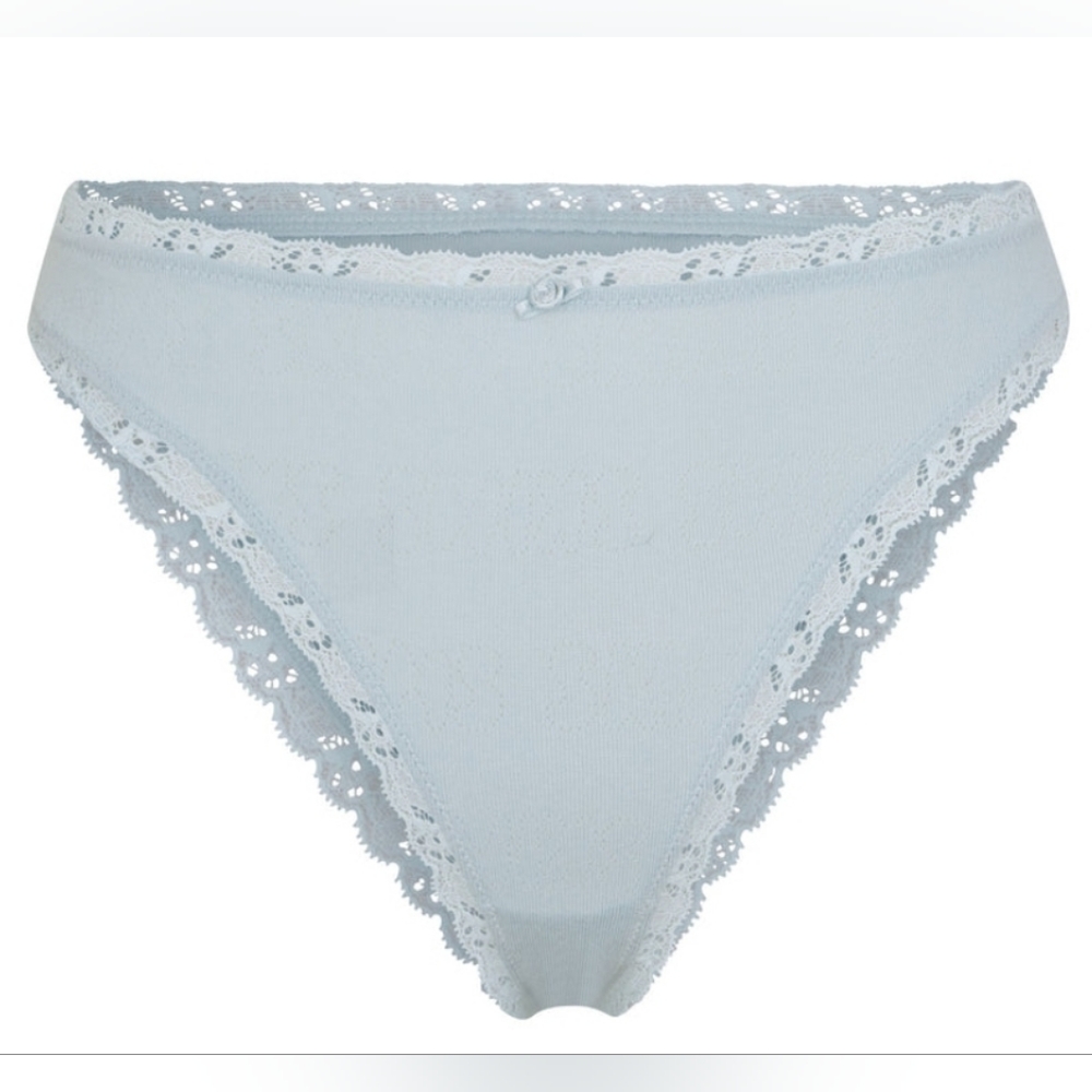 Sky Skims LACE POINTELLE CHEEKY Brief/4X/ NWT